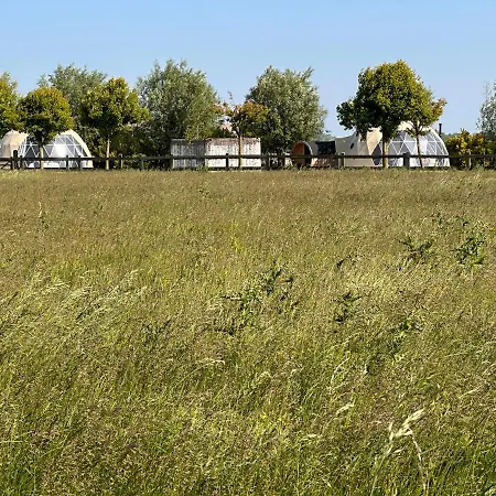 Glamping De Coude Scheure Luksusowy namiot *