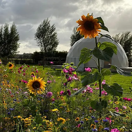 Luxuszelt Glamping De Coude Scheure *