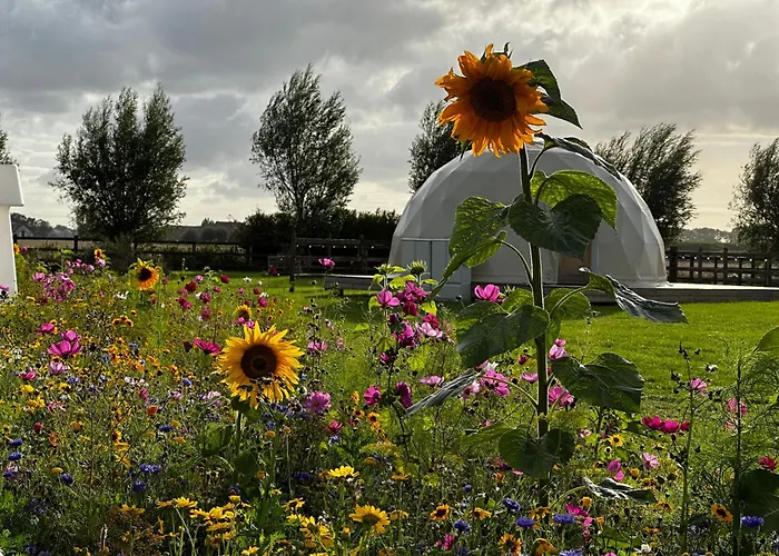 Luxury tent Glamping De Coude Scheure *